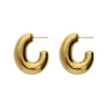Big Oval Earrings