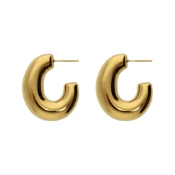 Big Oval Earrings