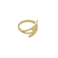 Double Overlap Ring 