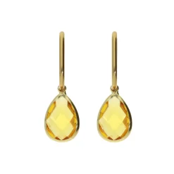 Enchanting Crystal Earrings