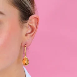 Enchanting Crystal Earrings