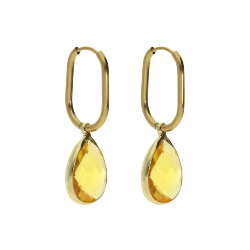 Enchanting Crystal Earrings