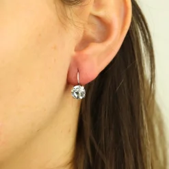 Swarovski Crystal Earrings