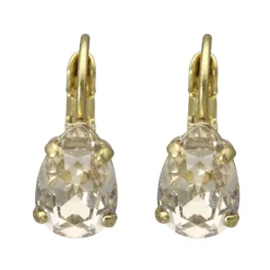 Swarovski Droplet Earrings