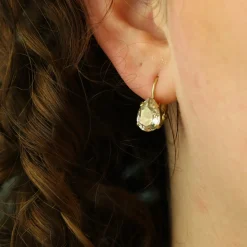 Swarovski Droplet Earrings